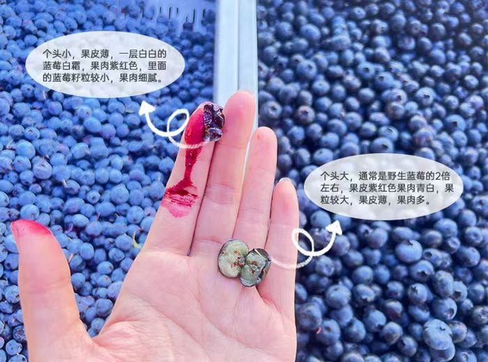 微信图片_2025-07-25_172019_117.jpg